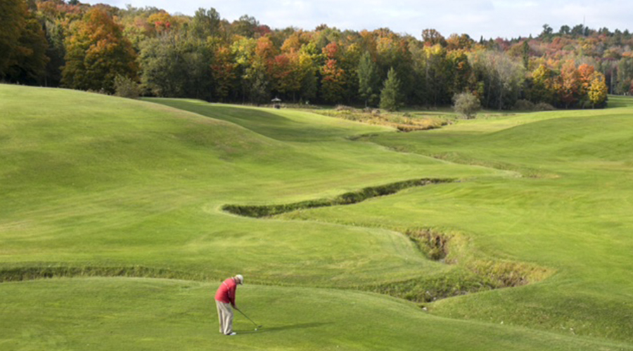 Beautiful Fall Colours at Bracebridge Golf Club